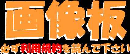 �摜��